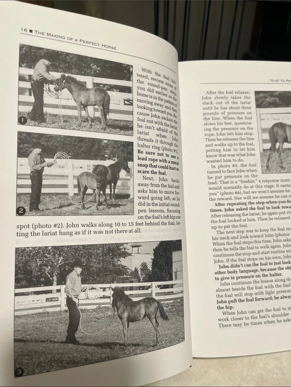 John Lyons Perfectly Practical Advice on Horsemanship - Blue Hardcover